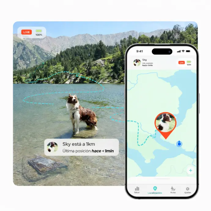 App seguimiento mascotas